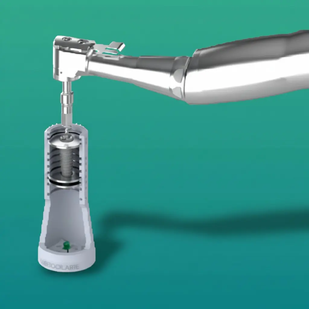 WhatsApp Image 2026 02 10 at 3 46 39 AM 4