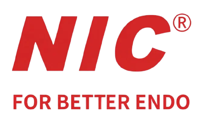 WhatsApp Image 2026 02 15 at 2 34 15 AM removebg preview