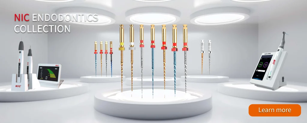 Imgi 16 f915dd2201ccbcc6e20ef747935f7548 1024x413